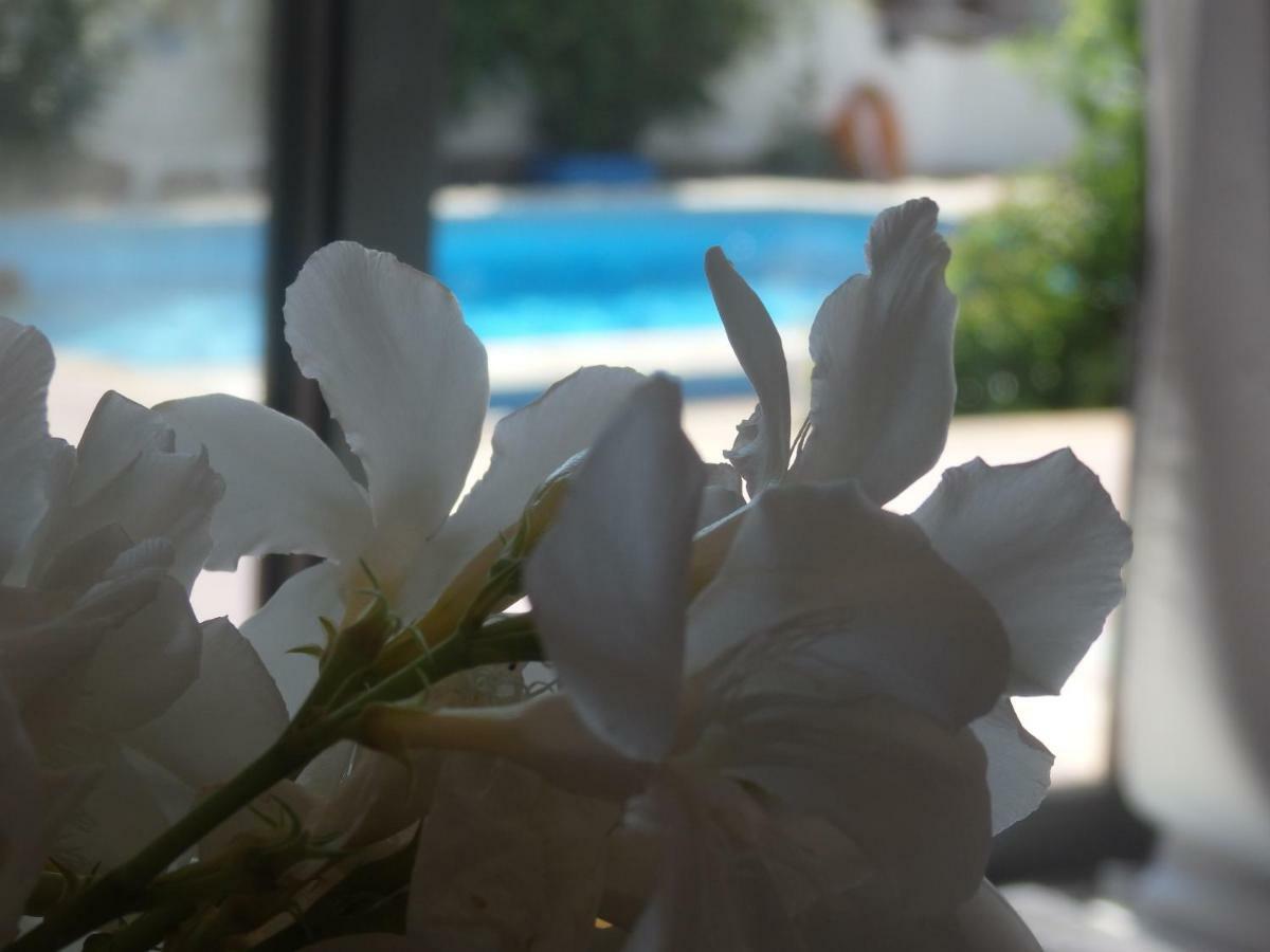 George * Kallithea (Chalkidiki)
